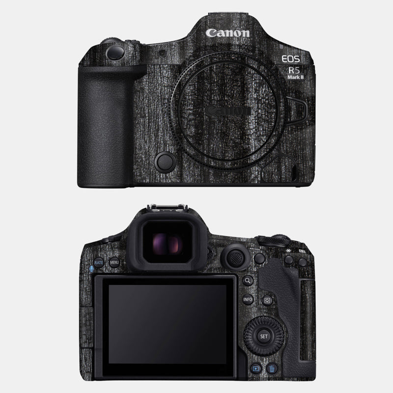 Black Panther Full Body