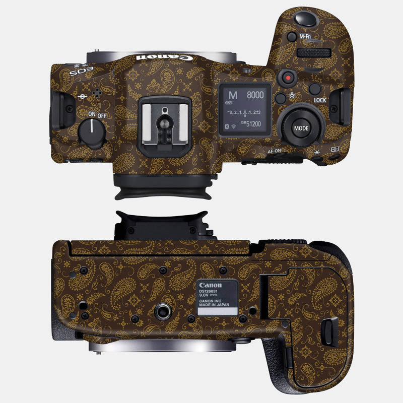 Brown Paisley Full Body