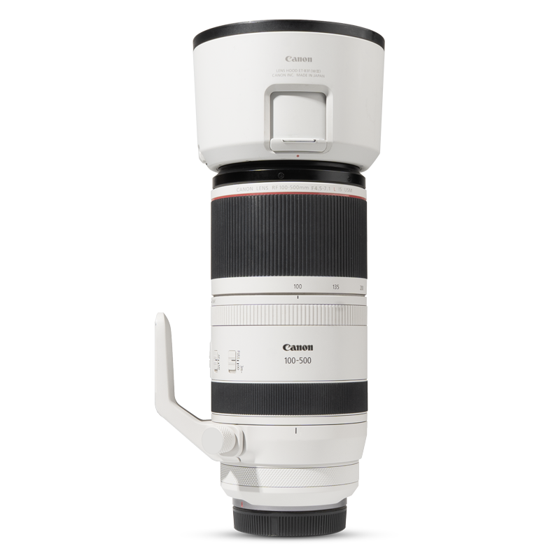 Canon RF 100-500mm F4.5-7.1 L IS USM Skins & Wraps