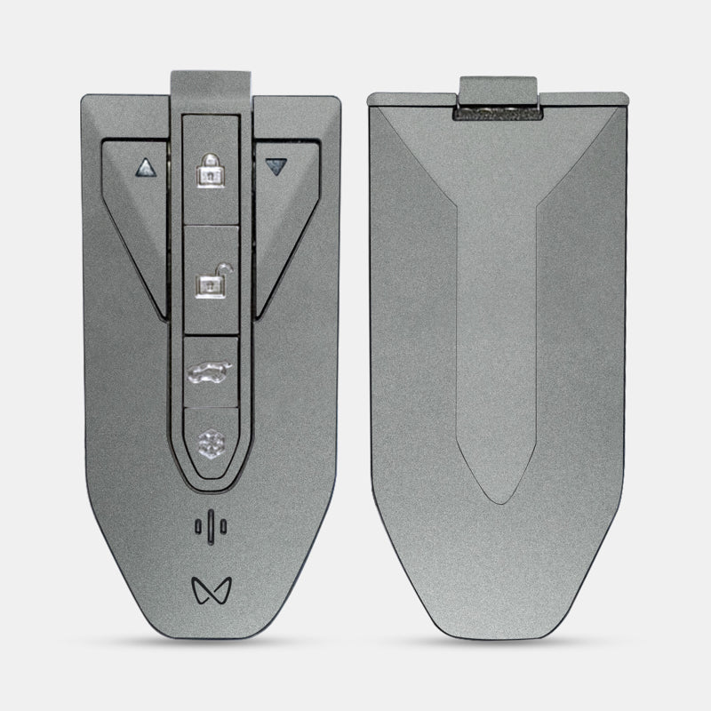 Satin Metiorite Silver Key-1