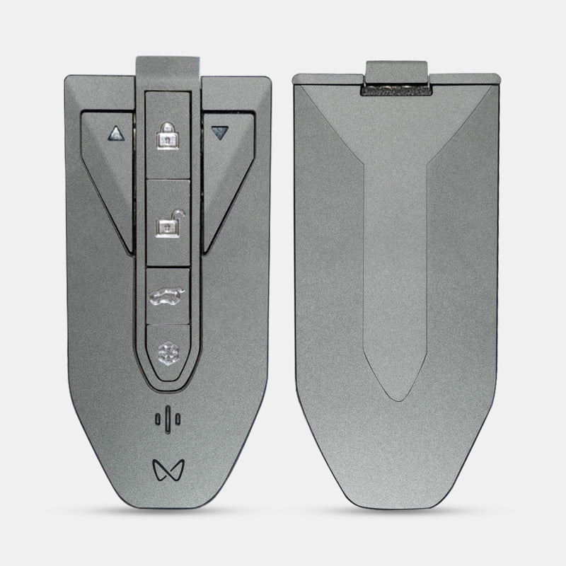 Satin Metiorite Silver Key-1