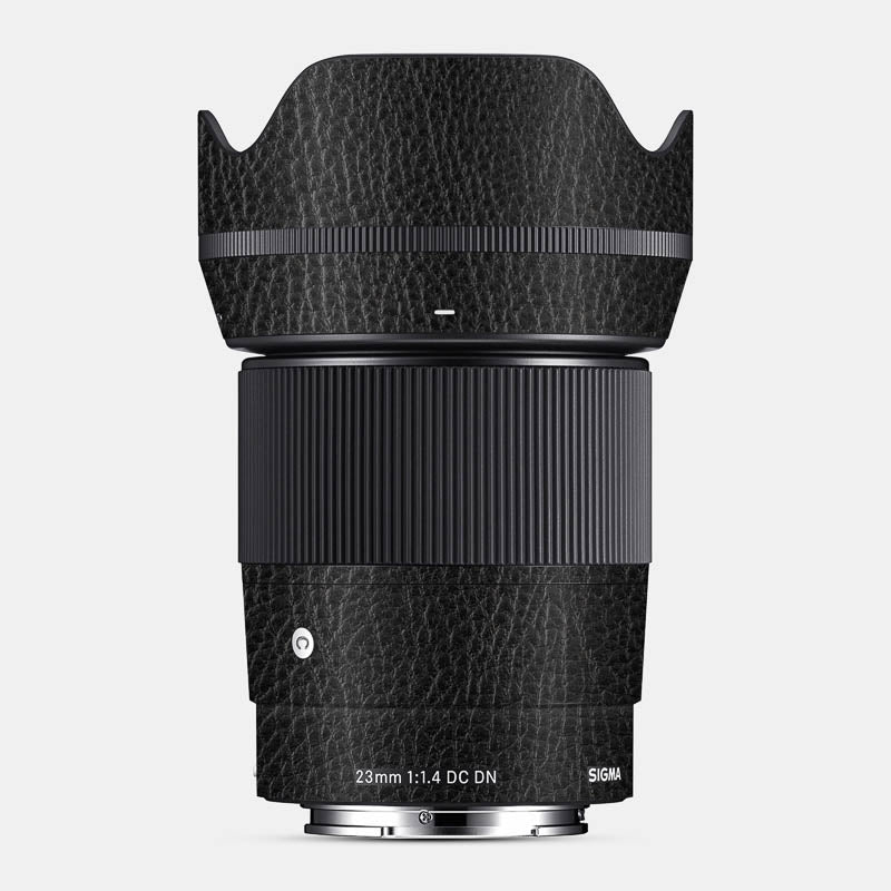 Black Leather Full Body