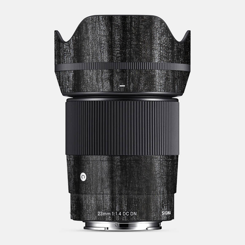 Black Panther Full Body