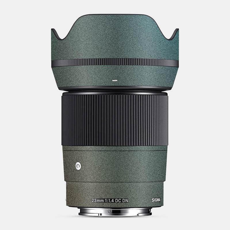 Colour Flip Full Body