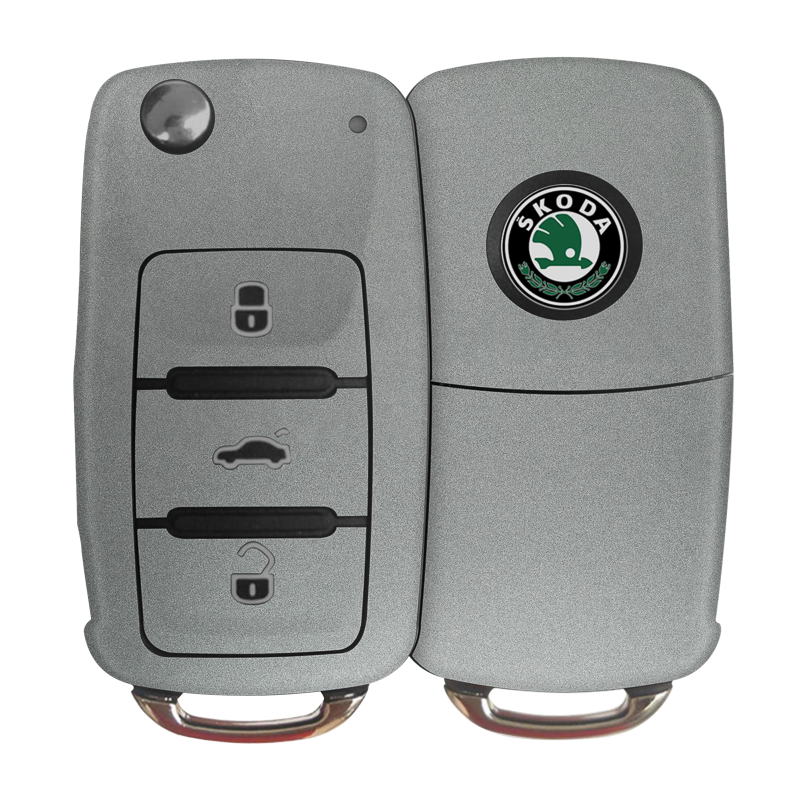 Satin Metiorite Silver Key-1