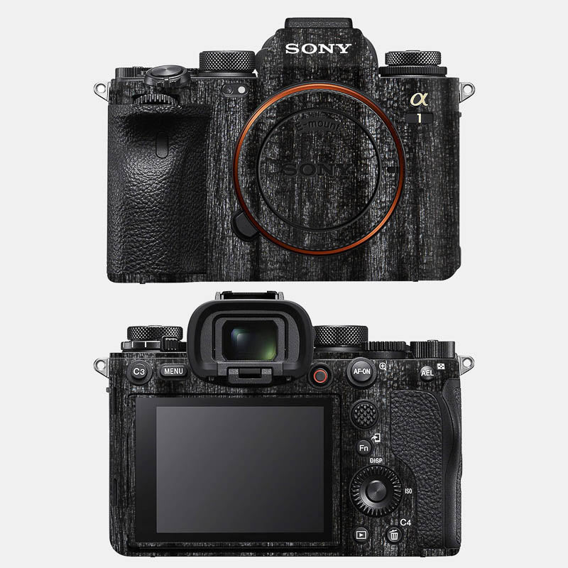 Black Panther Full Body