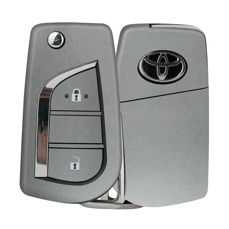 Satin Metiorite Silver Key-1