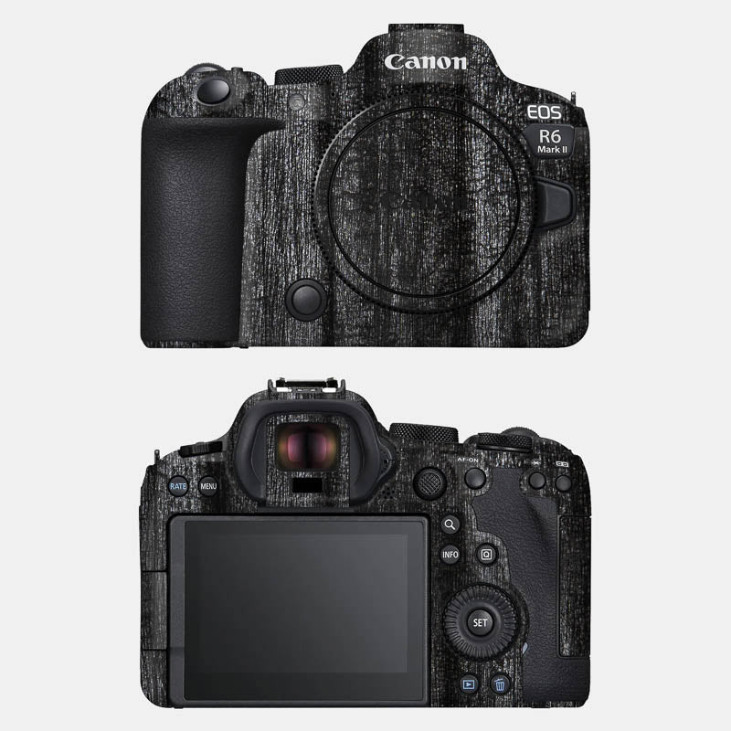 Black Panther Full Body