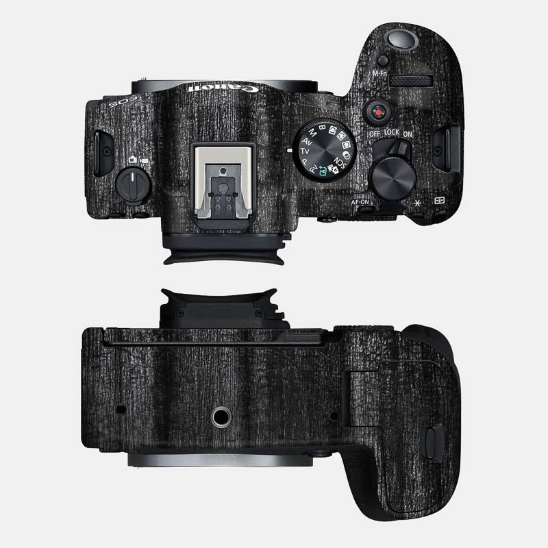 Black Panther Full Body