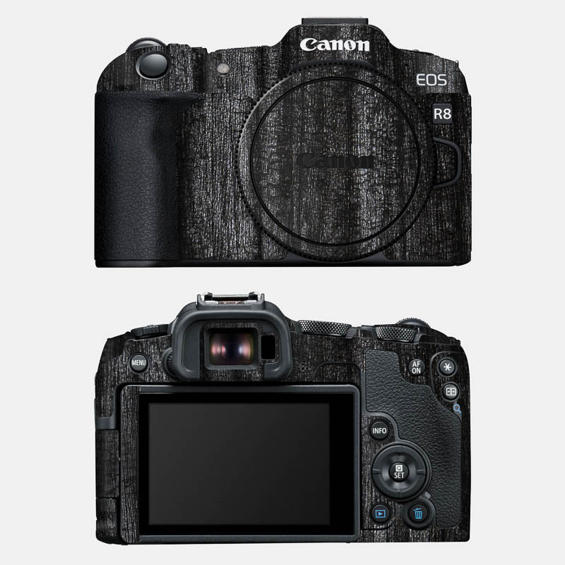 Black Panther Full Body