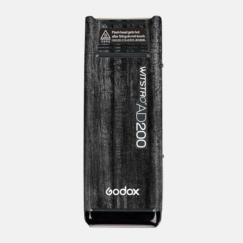 Black Panther Full Body