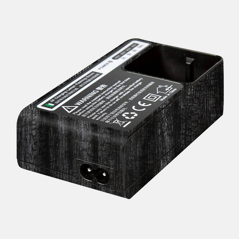 Black Panther Full Body