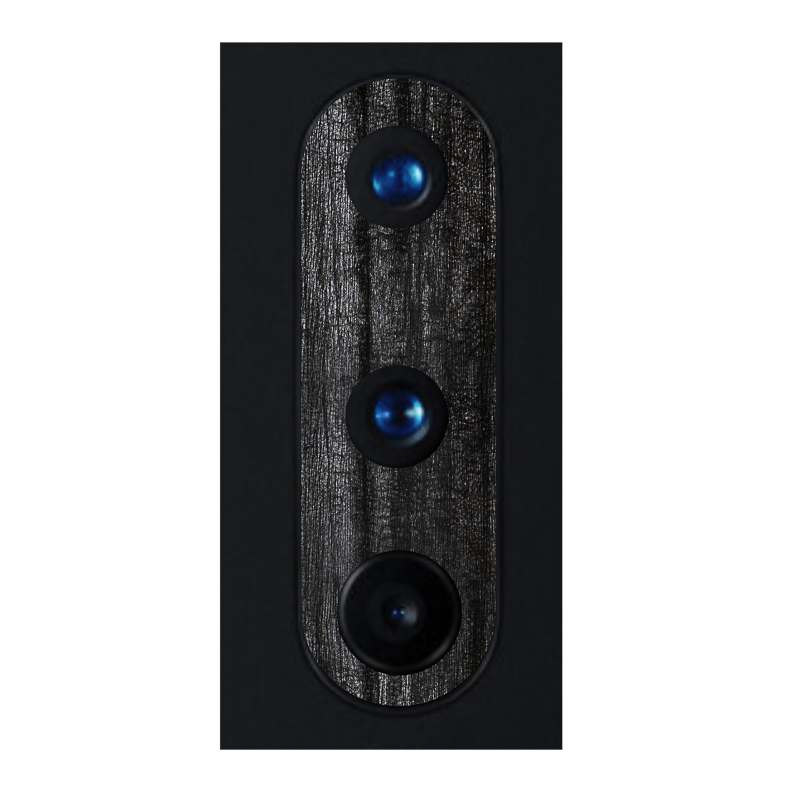 Black Panther Pack of 2