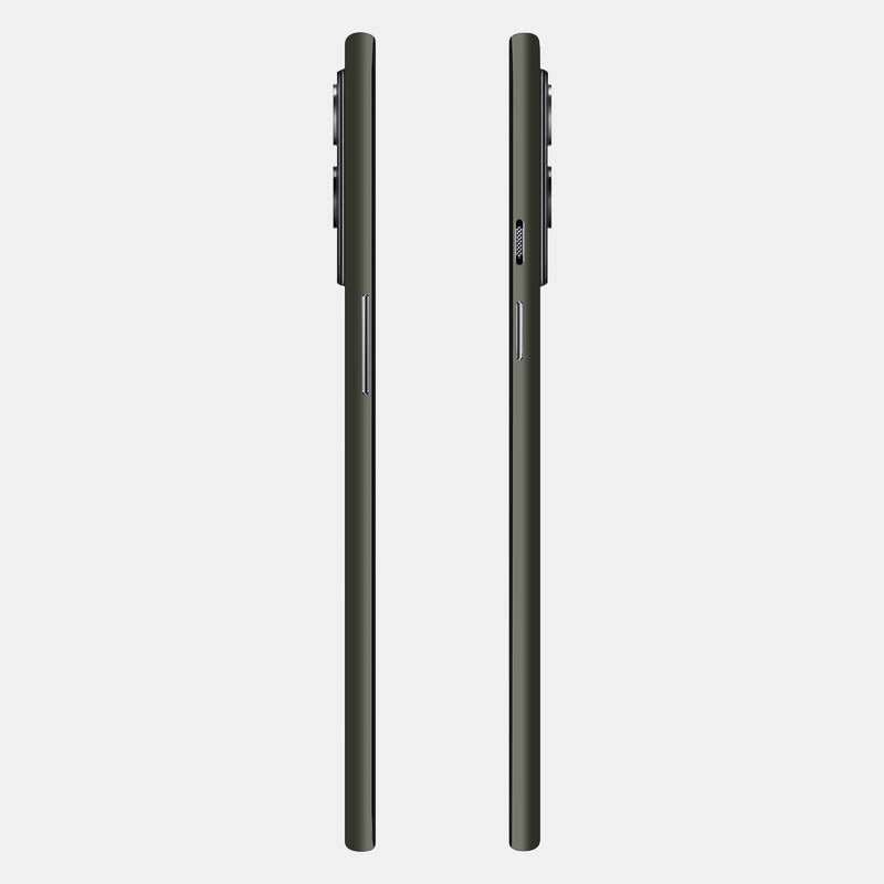 Alpine Green Full Back