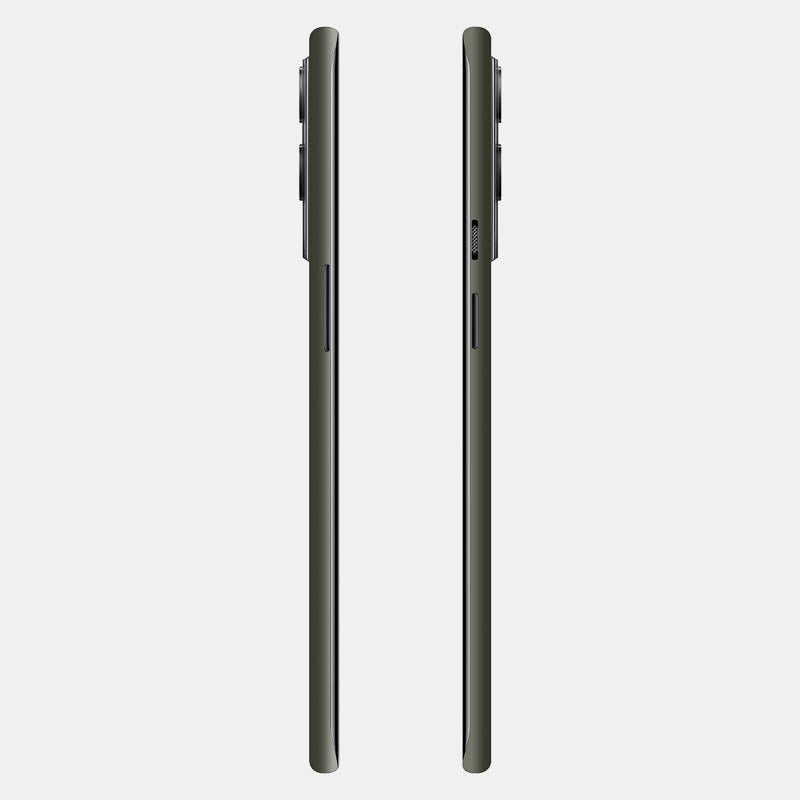 Alpine Green Full Back