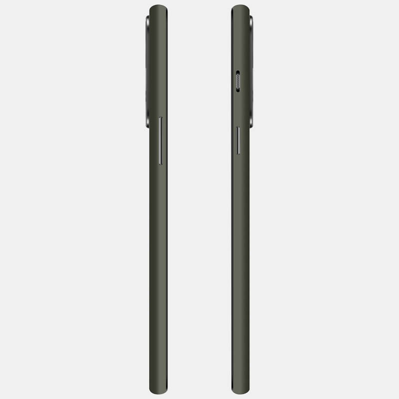 Alpine Green Full Back