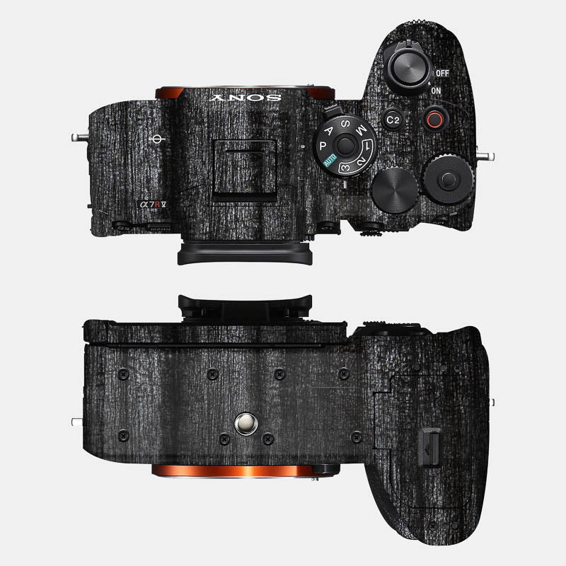 Black Panther Full Body