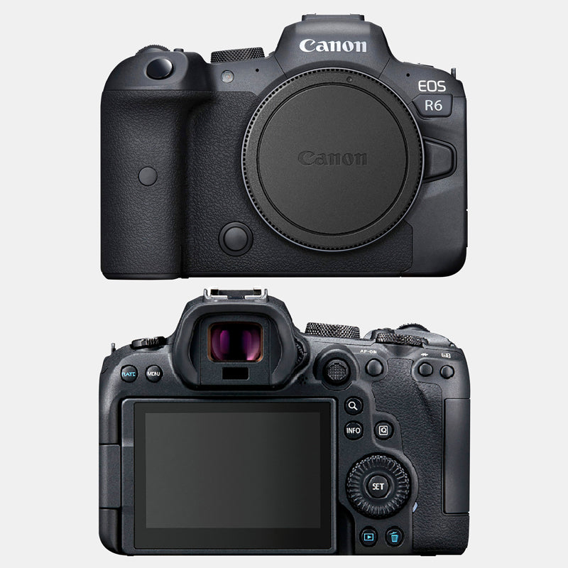 Canon EOS R6 Skins & Wraps