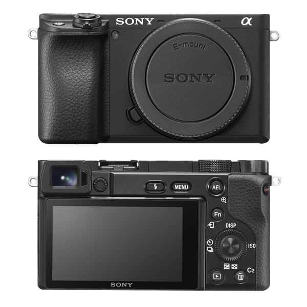 Sony A6100 Skins & Wraps
